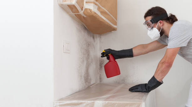Professional Crawl Space Mold Remediation technician working in Woodstock, VA