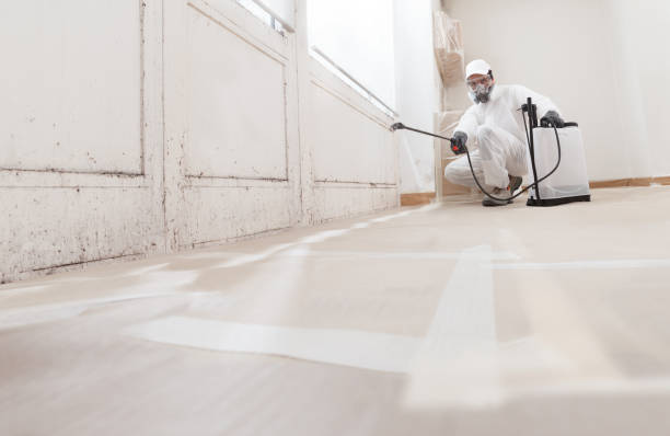 24/7 Emergency Crawl Space Mold Remediation experts in Woodstock, VA