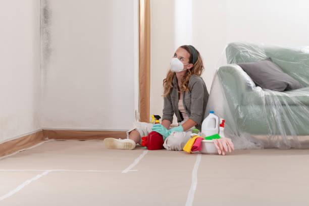 Reliable Crawl Space Mold Remediation contractor in Woodstock, VA by 24 Hour Mold Removal