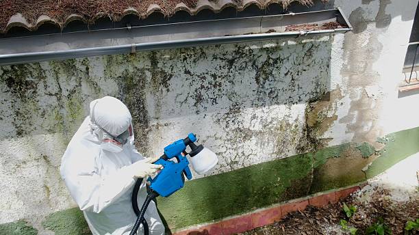 Top rated local Crawl Space Mold Remediation specialists in Woodstock, VA
